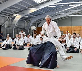 aïkido traditionnel Alain Peyrache notre sensei